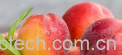 果蔬百科水蜜桃-0