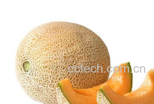 果蔬百科哈密瓜的功效与作用 -0