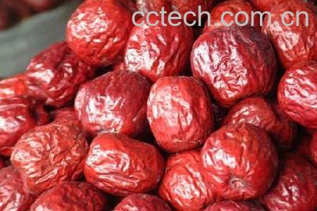 果蔬百科大枣-0