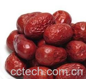 果蔬百科大枣-0