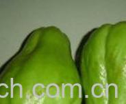 果蔬百科佛手-0