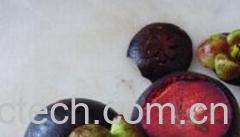 果蔬百科山竹皮-0