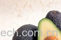 果蔬百科牛油果-0