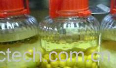 果蔬百科自制梅子酒-0