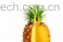 果蔬百科凤梨-0