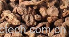 果蔬百科青海人参果-0