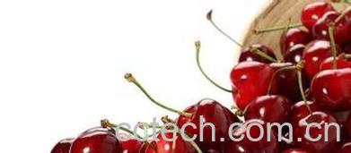 果蔬百科樱桃的清洗方法-0