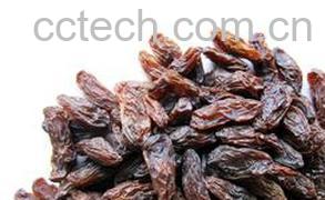 果蔬百科葡萄干-0