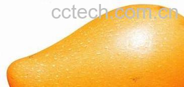 果蔬百科芒果-0