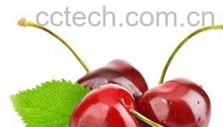 果蔬百科樱桃-0