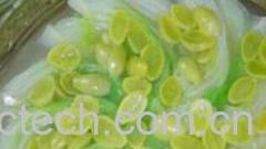 果蔬百科银杏果-0