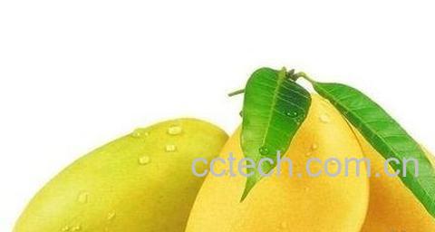 果蔬百科 女性吃芒果的坏处-0