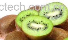 果蔬百科猕猴桃-0