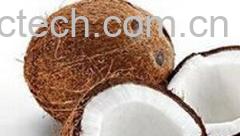 果蔬百科椰子肉-0
