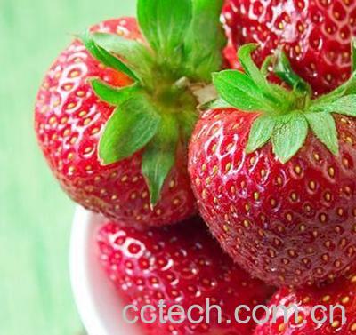 果蔬百科吃草莓的好处和坏处-0