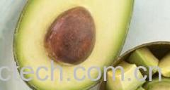 果蔬百科牛油果-0