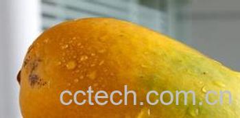 果蔬百科芒果-0