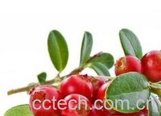 果蔬百科吃红枣的好处和坏处-0