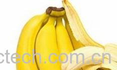 果蔬百科香蕉-0