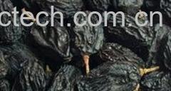 果蔬百科黑加仑葡萄干-0