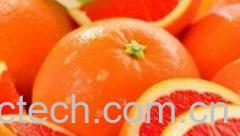 果蔬百科葡萄柚-0