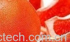 果蔬百科葡萄柚-0