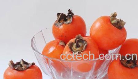 果蔬百科柿子-0