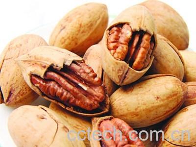 果蔬百科碧根果-0