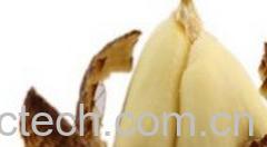 果蔬百科蛇皮果-0