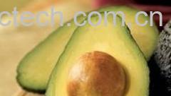 果蔬百科牛油果-0