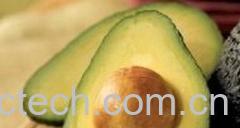 果蔬百科牛油果-0