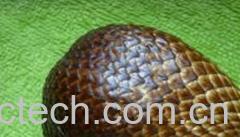 果蔬百科蛇皮果-0