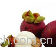 果蔬百科山竹-0