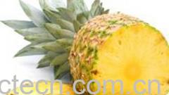 果蔬百科菠萝-0