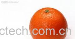 果蔬百科橘子-0