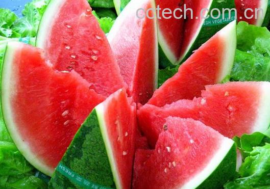 果蔬百科西瓜-0