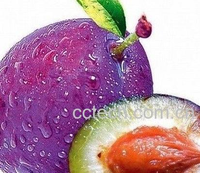 果蔬百科西梅的功效与作用 -0