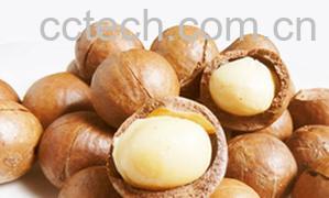 果蔬百科夏威夷果的功效与作用-0