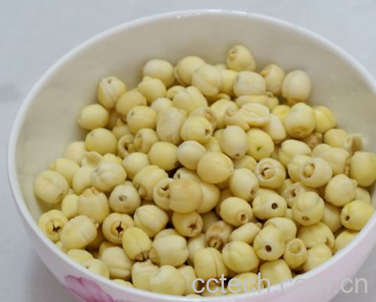 果蔬百科莲子的功效与作用及食用方法-0