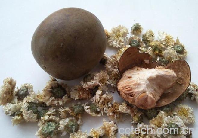 果蔬百科罗汉果花泡茶的功效 -0