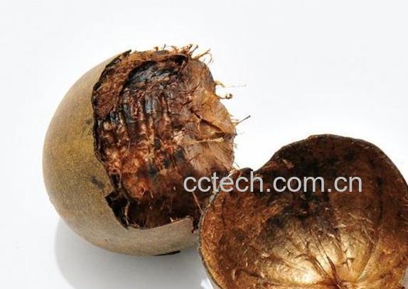 果蔬百科罗汉果泡水喝的作用和副作用 -0