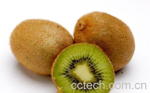 果蔬百科奇异果的营养价值有哪些-0