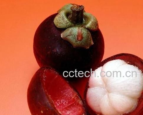 果蔬百科 山竹皮怎么用 山竹皮的吃法 -0