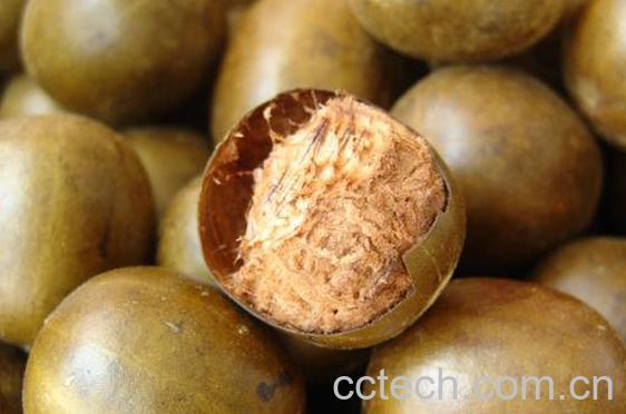 果蔬百科罗汉果的功效与禁忌 -0