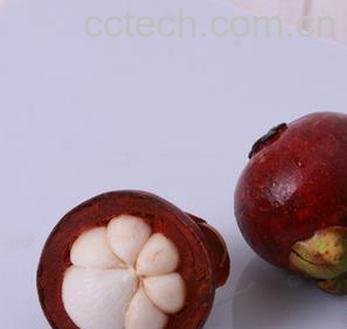 果蔬百科山竹怎么保存 山竹保存方法大全 -0