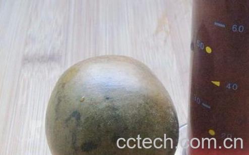 果蔬百科罗汉果怎么泡水喝-0