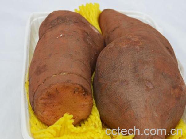 果蔬百科雪莲果的营养价值哪些 -0