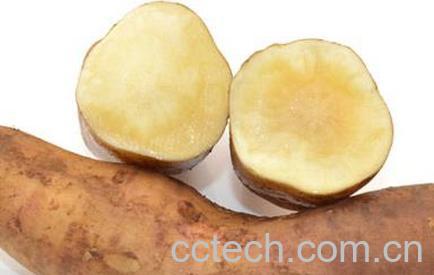 果蔬百科雪莲果的功效作用和副作用 -0