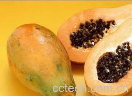 果蔬百科木瓜的功效与作用 -0