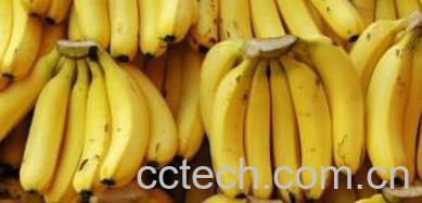 果蔬百科香蕉的功效与作用-0